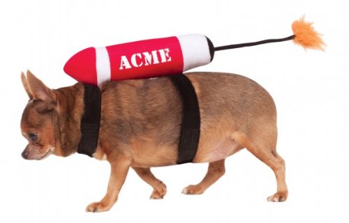 Acme Pet Costume