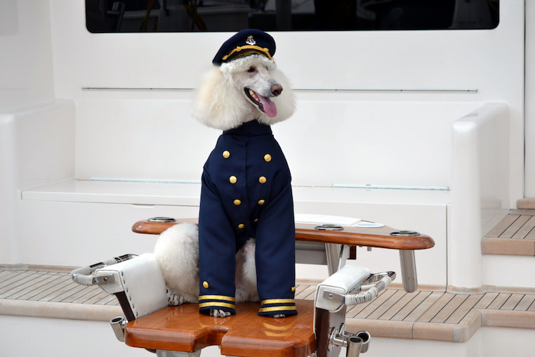 Admiral Jacket and Cap Dog Costume