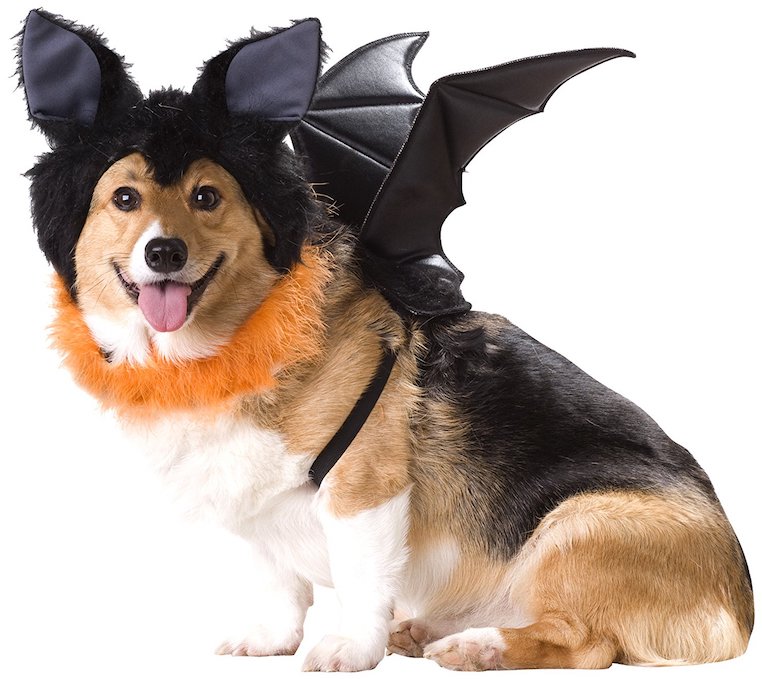 Animal Planet Bat Dog Costume