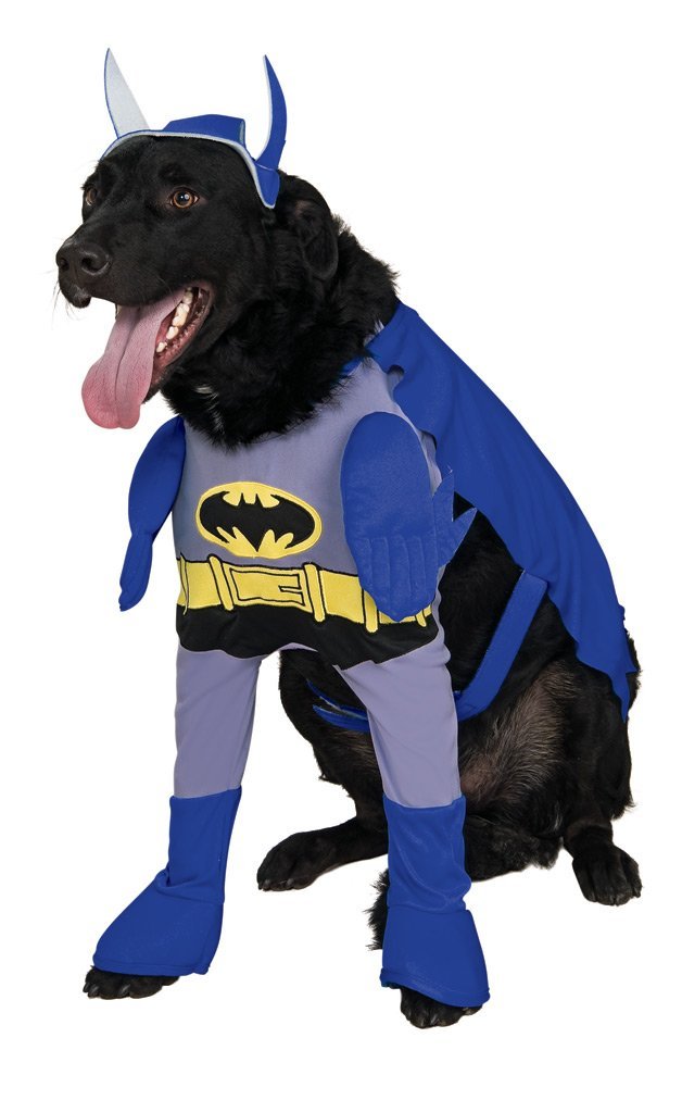 Batman The Brave and the Bold Deluxe Pet Costume