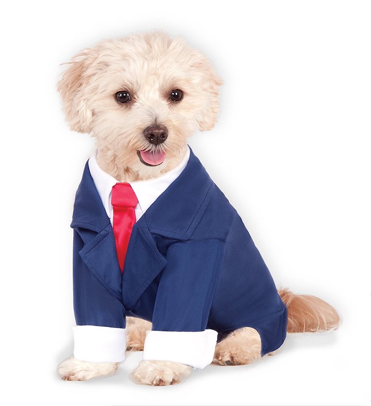 Doggie Business Suit