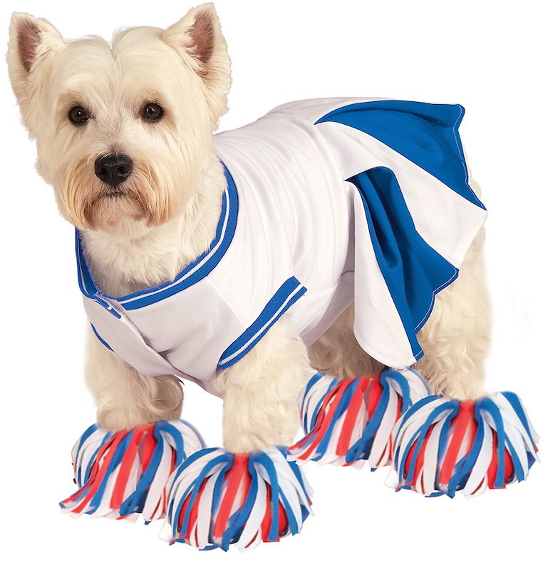 Cheerleader Pet Costume