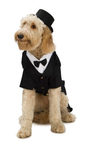 Dapper Dog Pet Costume