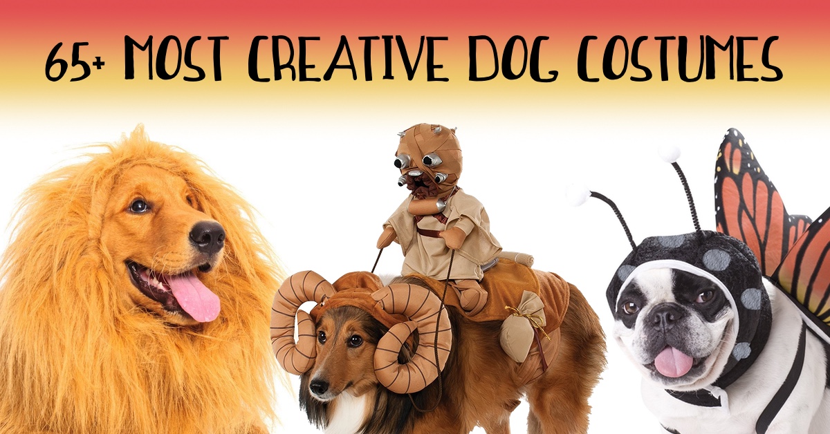 This list has 65+ of the most creative dog costumes out there! Great source for pet costume ideas. One of the best lists I've seen of Halloween costumes for dogs!