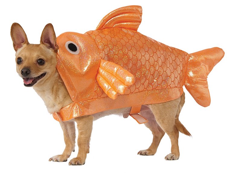 Rubie's Goldfish Dog Costume