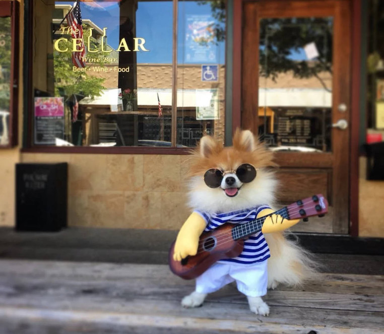Pet Guitar Costume