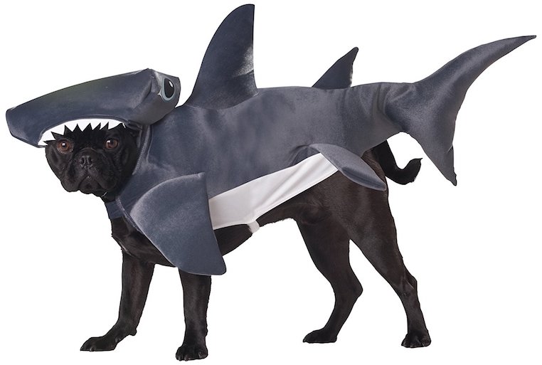 Animal Planet Hammerhead Shark Dog Costume