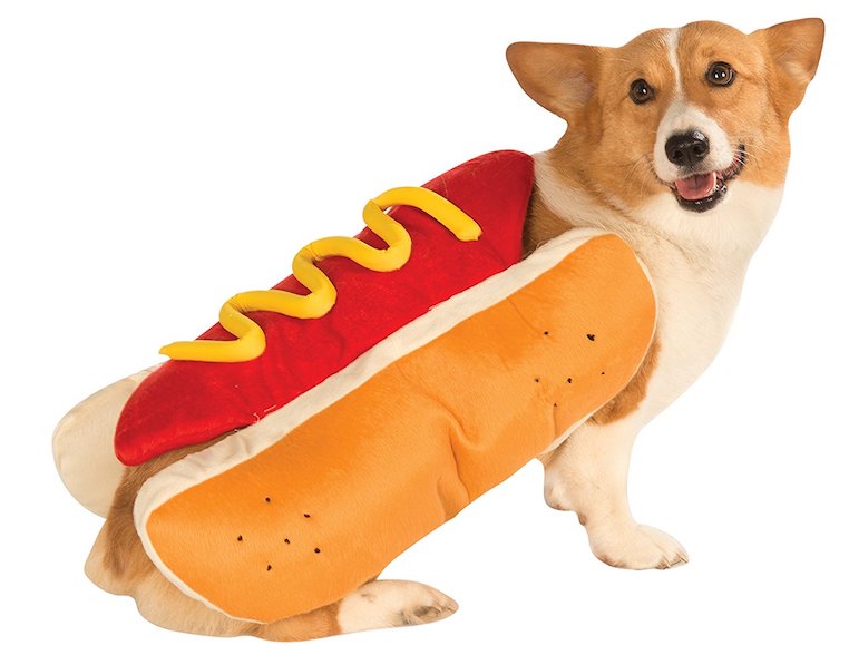 Hot Dog Dog Costume