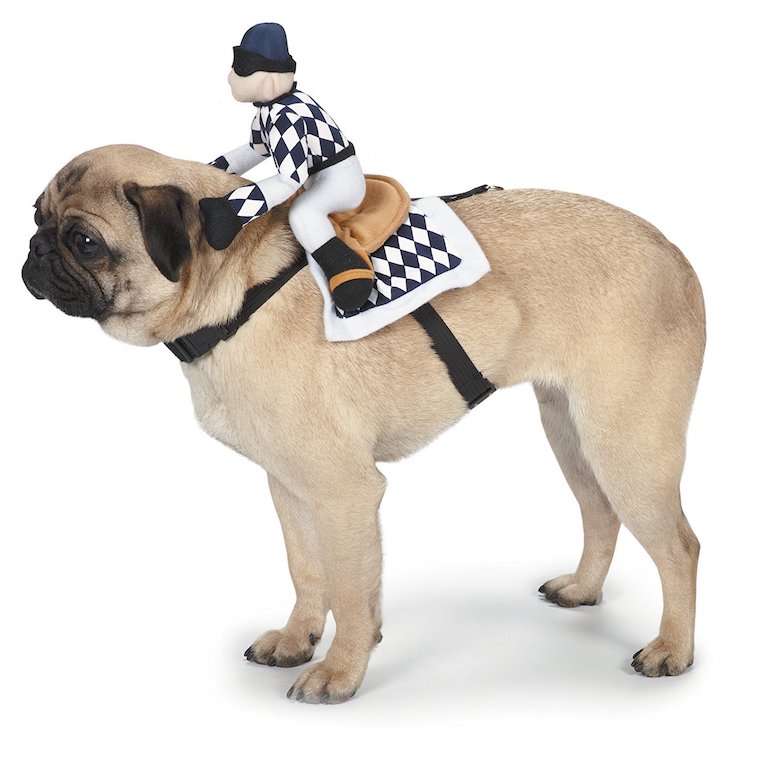 Jockey Saddle Dog Costume