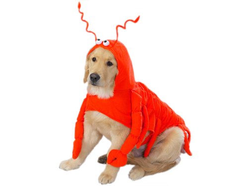 Lobster Dog Costume