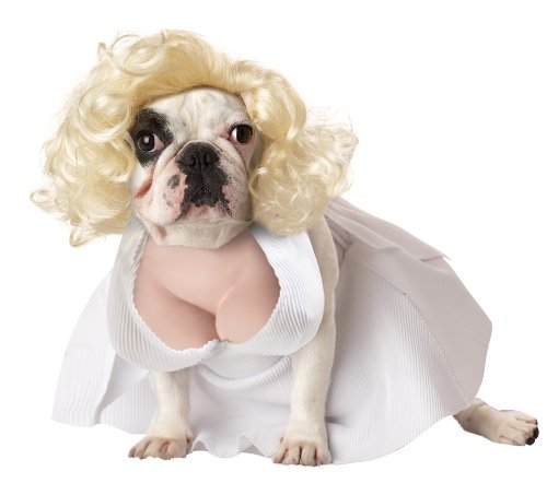 Silver Screen Starlet Dog Costume - Weird Marilyn Monroe Pet Costume
