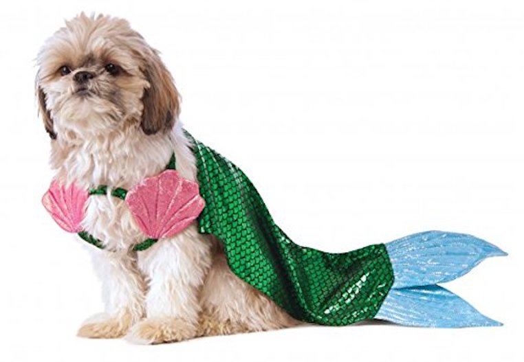 Mermaid Dog Costume