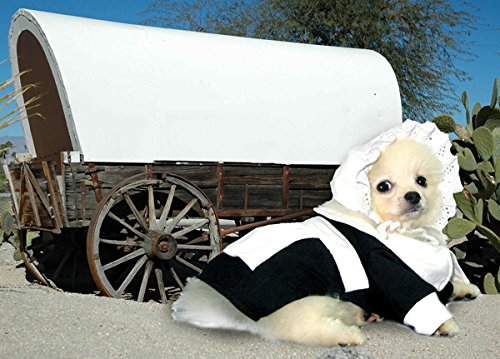 Pilgrim Dog Costume