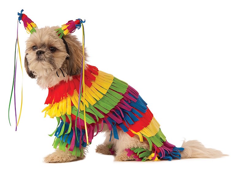 Pinata Pup Dog Costume