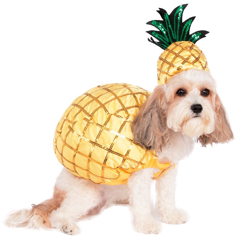 Pineapple Pet Costume