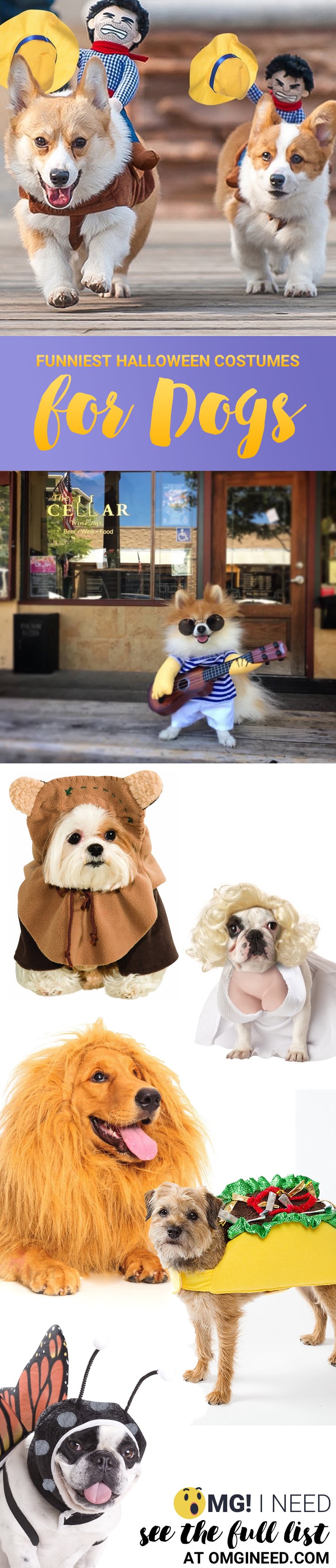 This list has 65+ of the most creative dog costumes out there! Great source for pet costume ideas. One of the best lists I've seen of Halloween costumes for dogs!