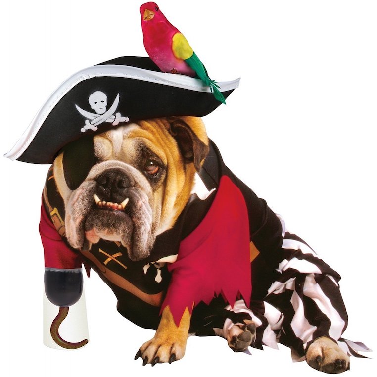 Pirate Pet Costume