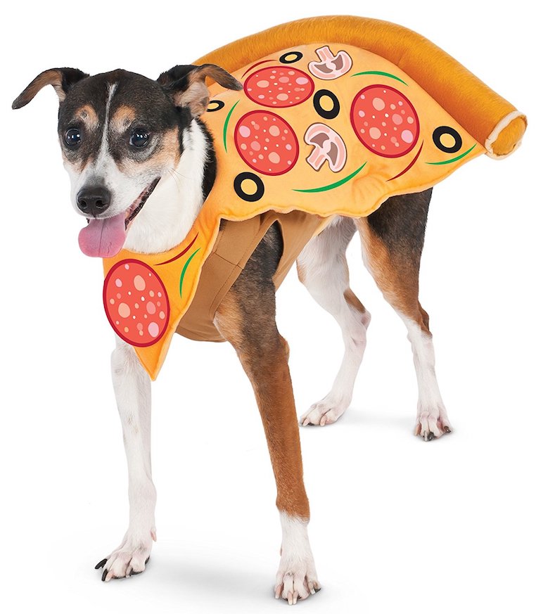 Pizza Slice Pet Suit