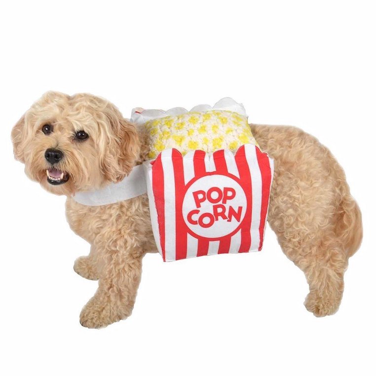 Popcorn Dog Costume