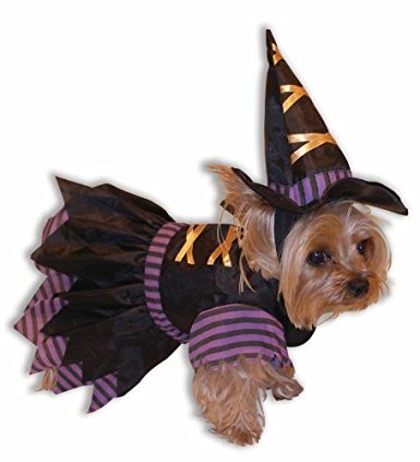 Witch Pet Costume