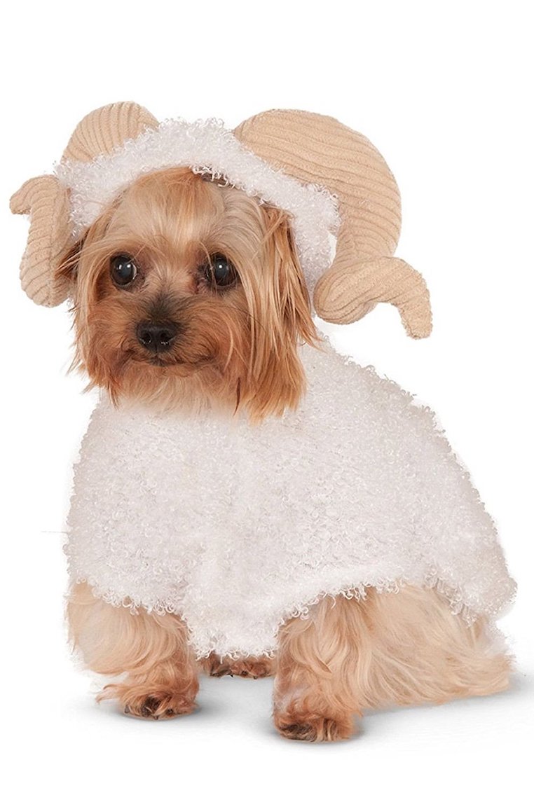 Fashion Animal Ram Dog Costume