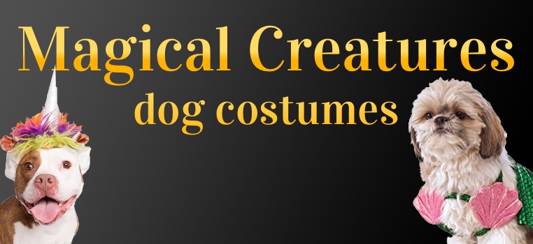 Magical Creature Dog Costumes
