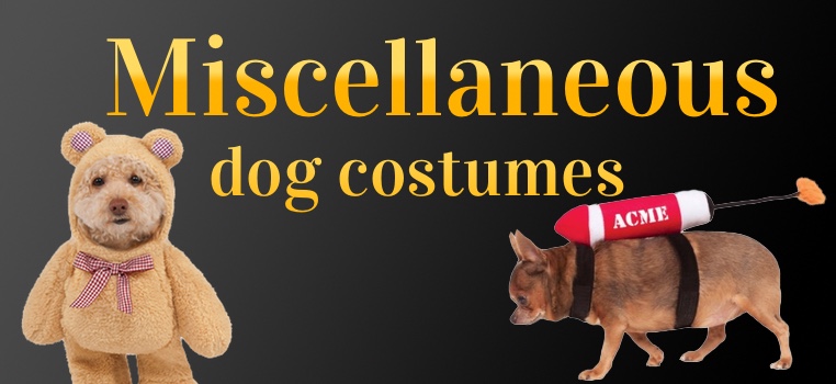 Miscellaneous Dog Costumes