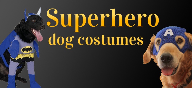 Superhero Dog Costumes