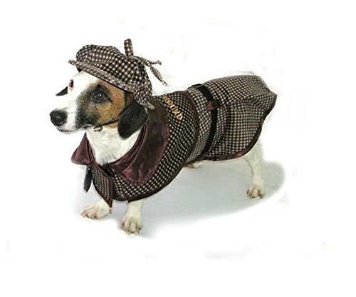 Sherlock Holmes Dog Costume