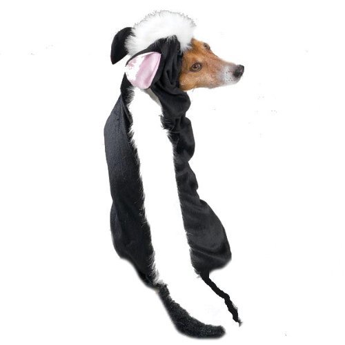 Lil' Stinker Skunk Dog Costume