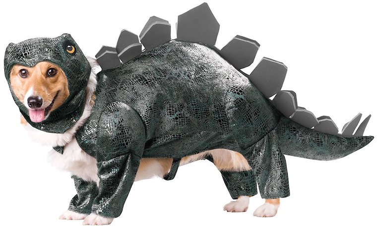Animal Planet Stegosaurus Dog Costume