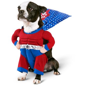 Superhero Dog Costume