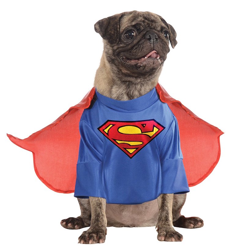 DC Heroes and Villains Collection Pet Costume