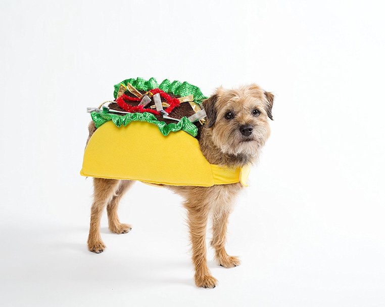 Taco Halloween Costume
