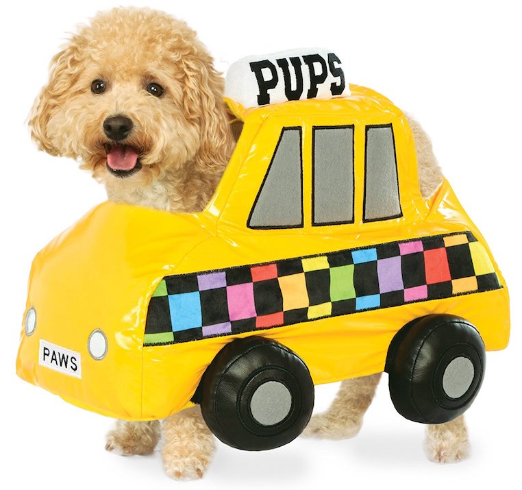 NYC Taxi Cab Pet Costume