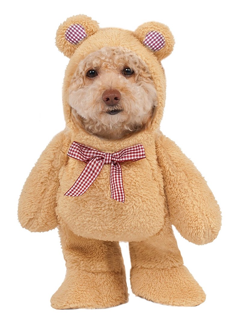Walking Teddy Bear Pet Suit