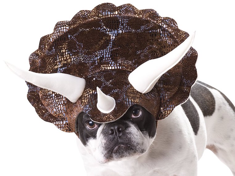 Animal Planet Triceratops Dog Costume