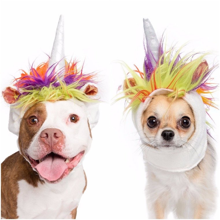 Unicorn Dog or Cat Costume