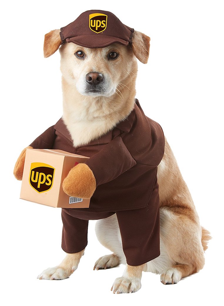 UPS Delivery Dog Costume