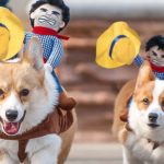 Funny Cowboy Themed Halloween Dog Costume