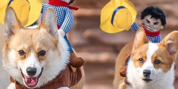 Funny Cowboy Themed Halloween Dog Costume