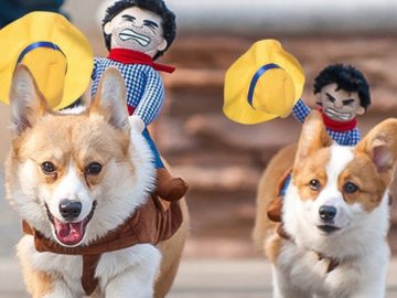 Funny Cowboy Themed Halloween Dog Costume