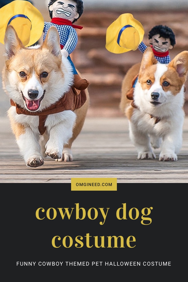 Funny Cowboy Themed Halloween Dog Costume