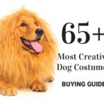 65+ Most Creative Dog Costumes