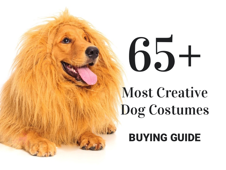 65+ Most Creative Dog Costumes