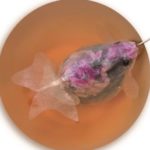 Goldfish Tea Bags