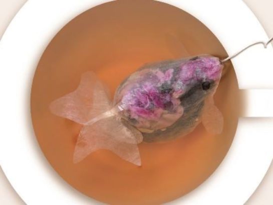 Goldfish Tea Bags