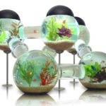 Labyrinth Aquarium | Unique Fish Tank Design