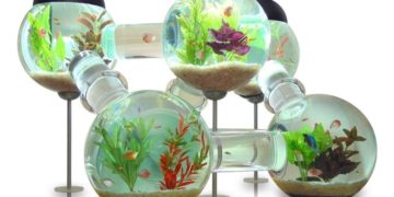 Labyrinth Aquarium | Unique Fish Tank Design