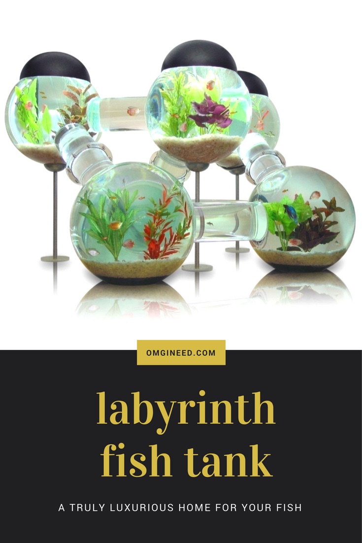 Labyrinth Aquarium | Unique Fish Tank Design